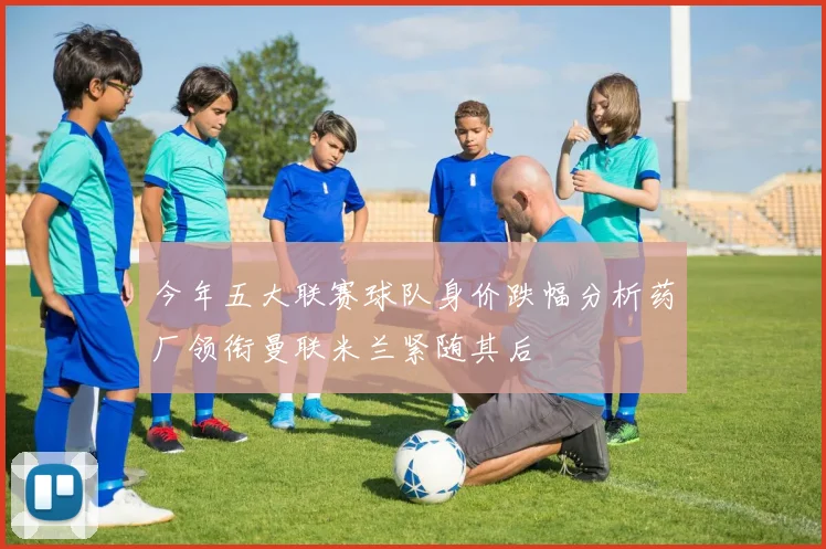 今年五大联赛球队身价跌幅分析药厂领衔曼联米兰紧随其后