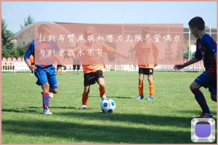 拉科布赞库明加潜力无限尽管偶尔与科尔战术不符